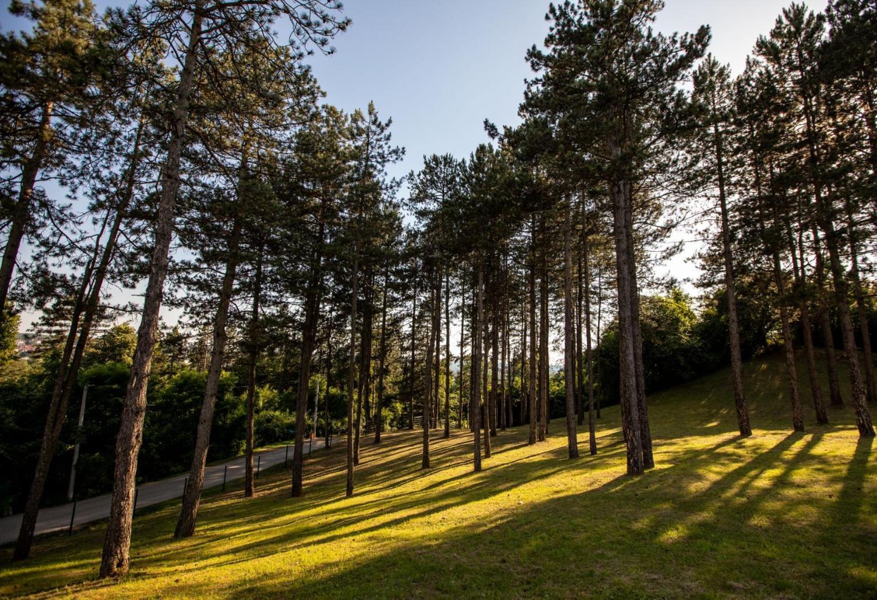 Hotel Babino Brdo Derventa Exteriér fotografie